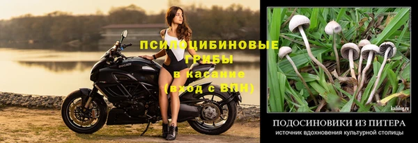 синтетический гашиш Алексеевка