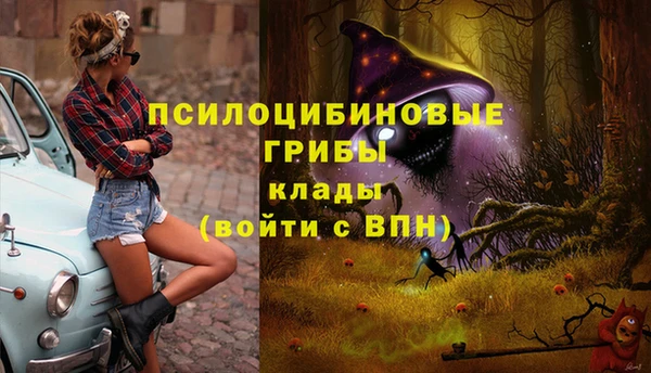МДМА Алексин