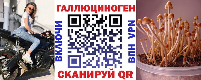 это состав  Бабаево  Псилоцибиновые грибы Psilocybe  кракен маркетплейс 